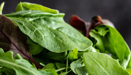 Leaves mix of spinach greens, arugula and basil close up. Ingredients for healthy eating.