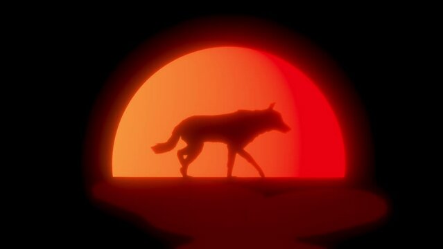 Sunset Walk with a Wolf: Lofi Loop Scene
