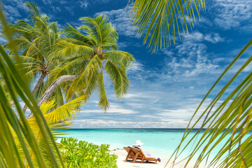 tropical paradise beach with white sand and coconut palm trees - 607059465