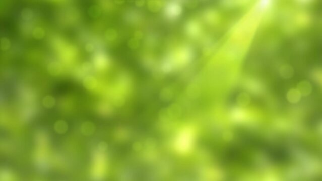 fresh green blurred spring background with defocused bokeh lights and sunlight beams, abstract nature concept with space for text or product presentations