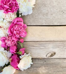 background of white and pink peonies
