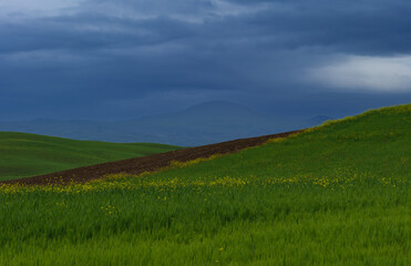 Tuscany fields in springtime, cloudy day mood, Val d'Orca, Pienza region