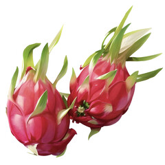 Dragon fruit 