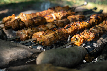 shish kebab on the grill