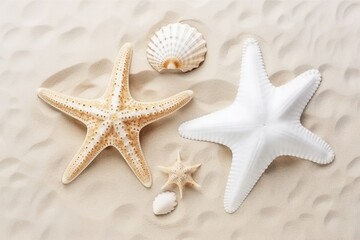 Fototapeta na wymiar sea shells and starfish on the beach Generative AI