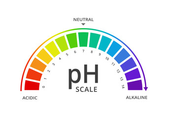 Vector ph value scale meter diagram indicator for acid and alkaline solutions.  Acid-base balance, chemical test infographic