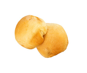 Two golden bread isolated element