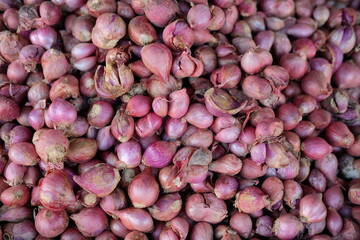 Red onions - Large quantities of red onions in the basket