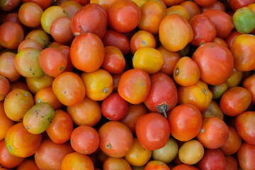 Fresh Tomato - Large quantities of tomato in the basket. Fresh tomatoes in the market