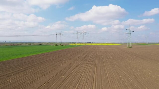 Electricity pylons in blooming rapeseed field