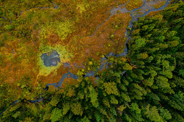 Aerial landscape Altai melancholic mood, blue geyser lake with forest Aktash mountains, Altay...
