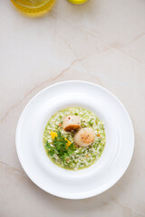 Pea risotto with pan seared scallops served in a white plate, flat lay on a beige marble background, vertical shot with space