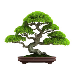 Bonsai tree isolated on transparent background, PNG, Generative AI