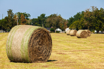 Rolled Hay Bales in rural Alabama