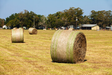 Rolled Hay Bales in rural Alabama