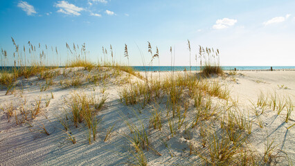 Beautiful Perdido Beach in Pensacola, Florida - 607090059