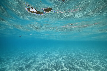 sandy beach underwater photo background abstract horizontal panorama of the blue sea