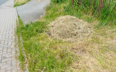 hay bale in the street mowing 01