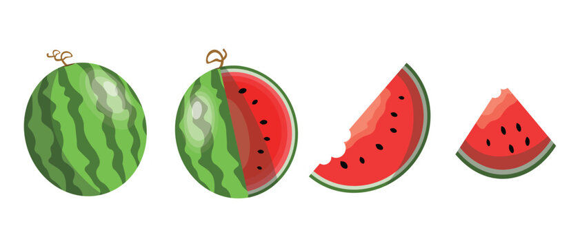 Vector Watermelon set isolated on white background. Fresh watermelon fruit set design elements. Fresh whole, cut and sliced watermelon set. Juicy fruit. Vector design elements or background.