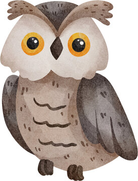  Eule Aquarell Bilder – Durchsuchen 1,737 Archivfotos, Vektorgrafiken Motiv 