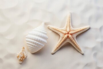 Fototapeta na wymiar sea shells and starfish on the beach Generative AI