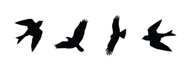 Flying birds silhouettes on white background. Vector illustration. isolated bird flying. tattoo design.