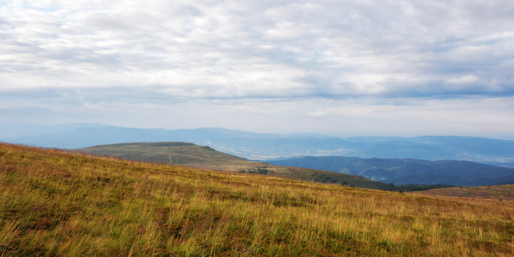 carpathian countryside with grassy meadows. view in to the distant rural valley