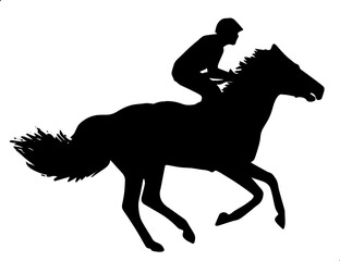 silhouette of a horse racing
