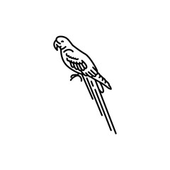 Ara parrot black line icon.