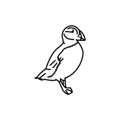 Puffin bird black line icon.