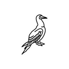 Obraz premium Sea ​​bird gannet black line icon.