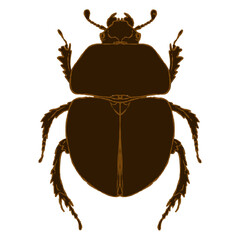 Brown beetle, scarab. Element for design