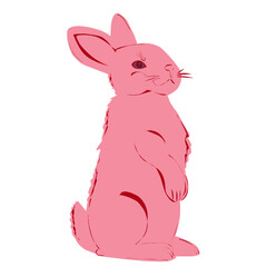 Cute bunny. Flat vector design