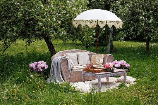 A romantic date for lovers, a picnic in the spring garden, a wedding. A sofa with pillows and a table in nature among apple trees, flowers and grass.
