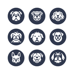 Cute Dog  head vector icon set.