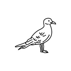 Gull bird black line icon.