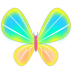 Naklejka premium butterfly isolated on white