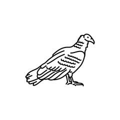 Vulture bird black line icon.