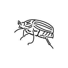 Chafer black line icon.
