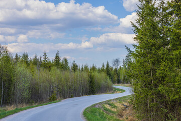 Fototapeta na wymiar View of asphalt cycling road against backdrop of forest on both sides. Sweden.