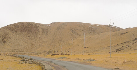 peaceful wid life in himalaya mountain area, view from ladakh, india