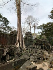 Fototapeta na wymiar Angor Wat, Tailandia