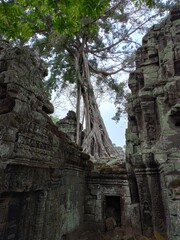 Fototapeta na wymiar Angor Wat, Tailandia
