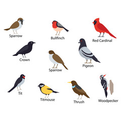 A group of different birds silhouette illustration.