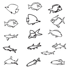 Outline silhouettes drawn of different species of fish