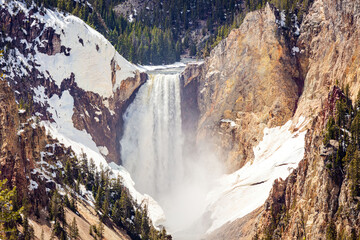 Spring runoff down the Lower Falls of the Yellowstone River in spring with snow covered landscape in Yellowstone National Park Wyoming.