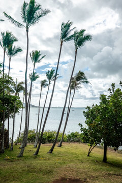 Kualoa mountain range panoramic view, famous filming location on Oahu island, Hawaii