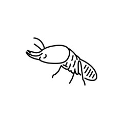 Termite black line icon.