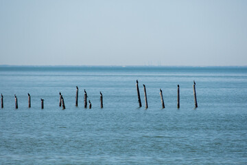 chesapeak bay scenes in march