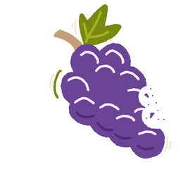 illustration of a raspberry